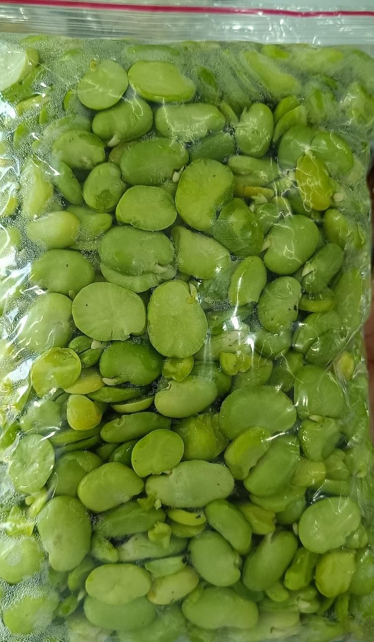 باقالی سبز