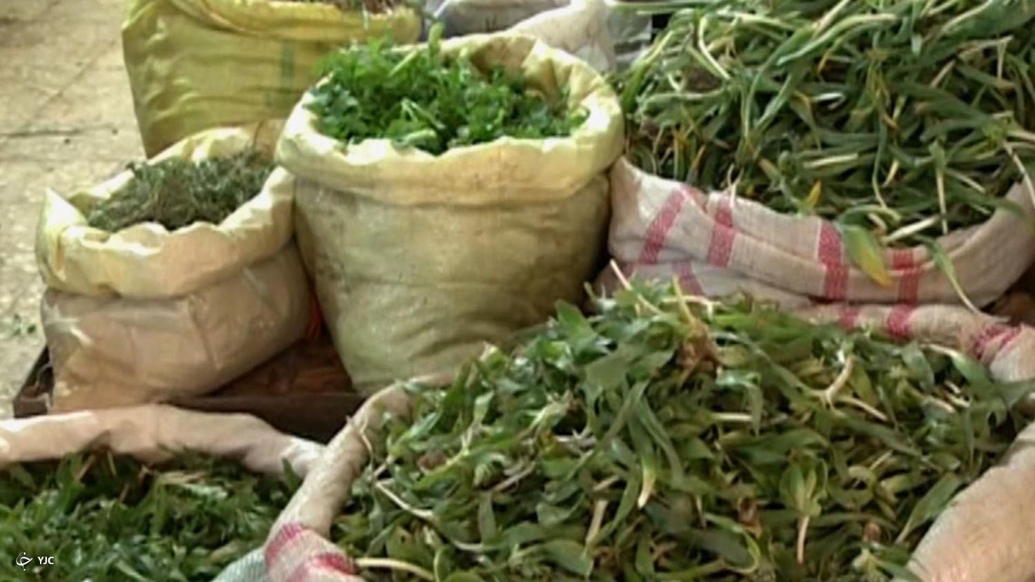 محصولات خشک و ادویه