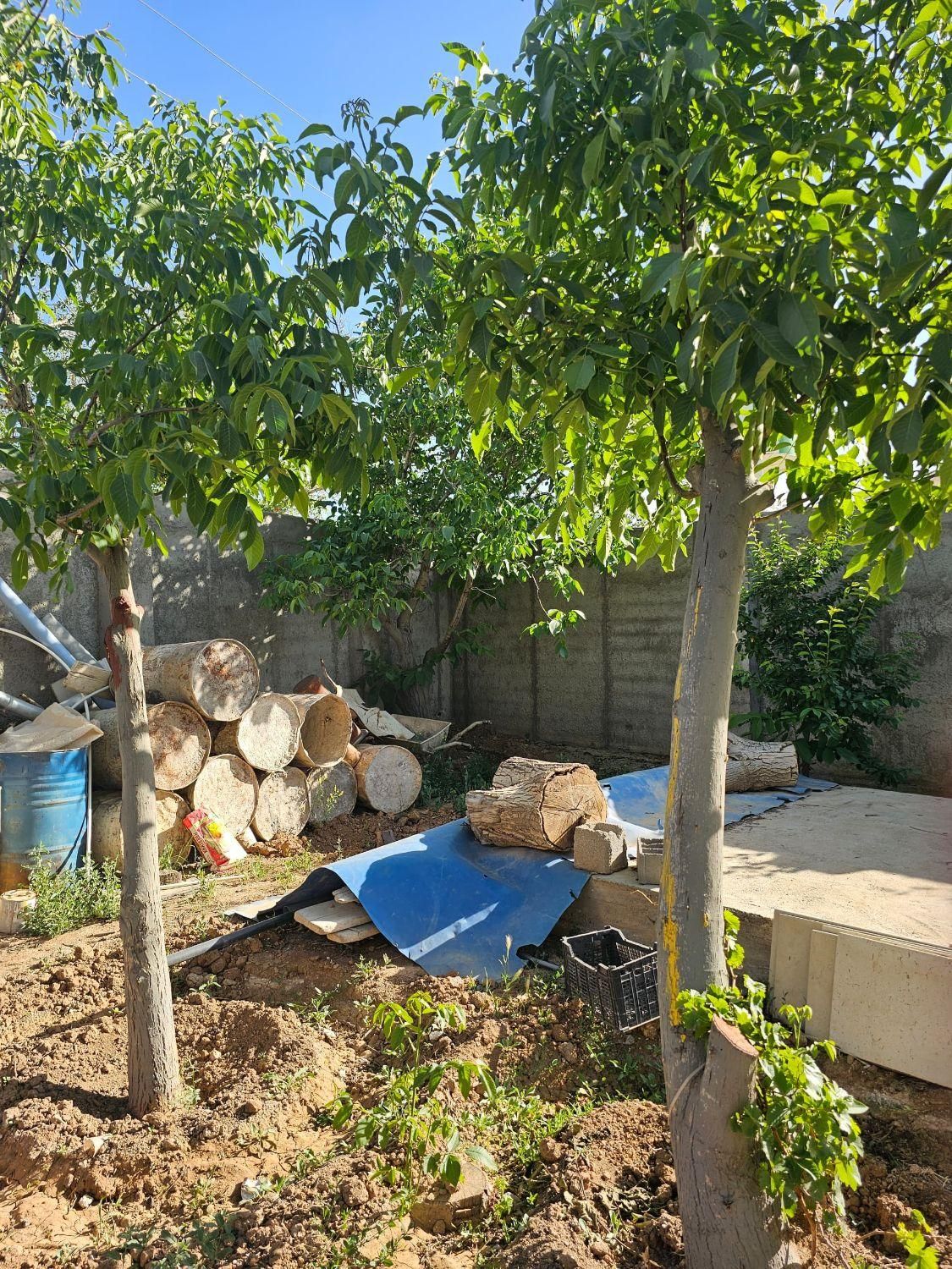 زمین خیابان یاس
