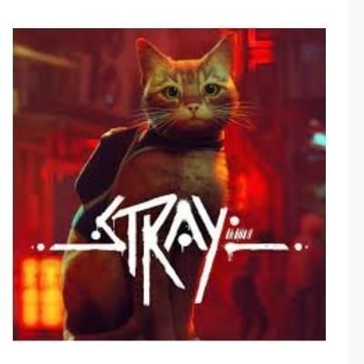 اکانت PS5 بازی Stray