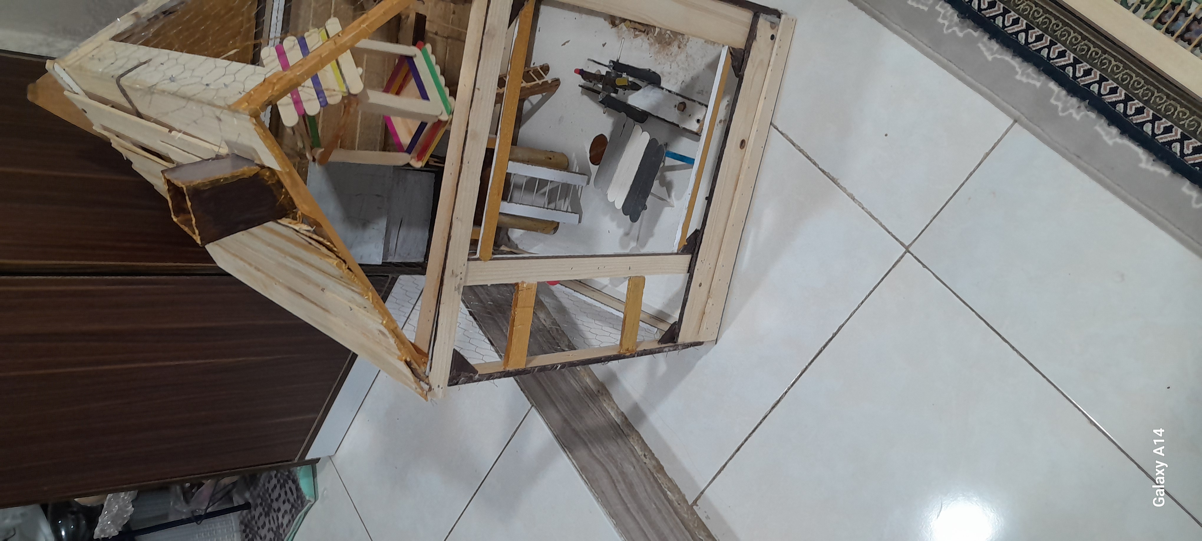 قفس عروس پاریس وهلندی وطوطی