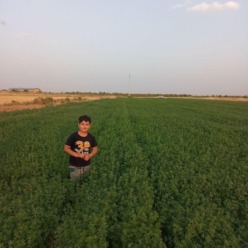 فروش ۸۴۰۰ متری زمین کشاورزی و سهم آب دارم.