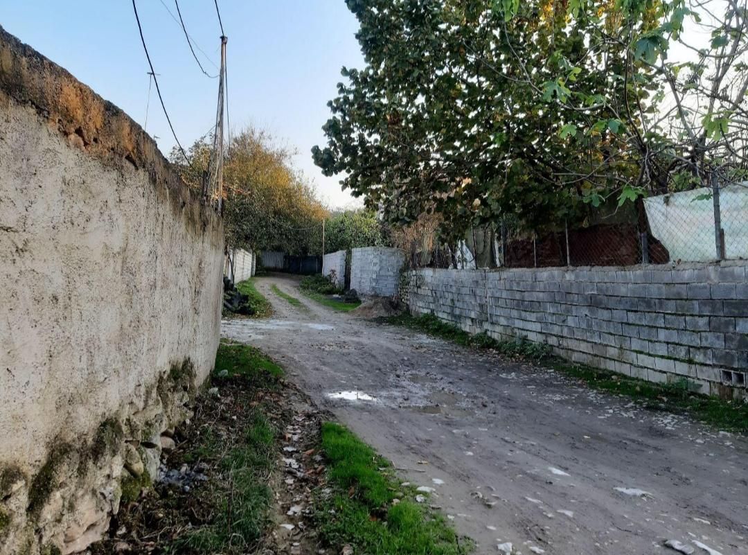 مشاور ناظمی