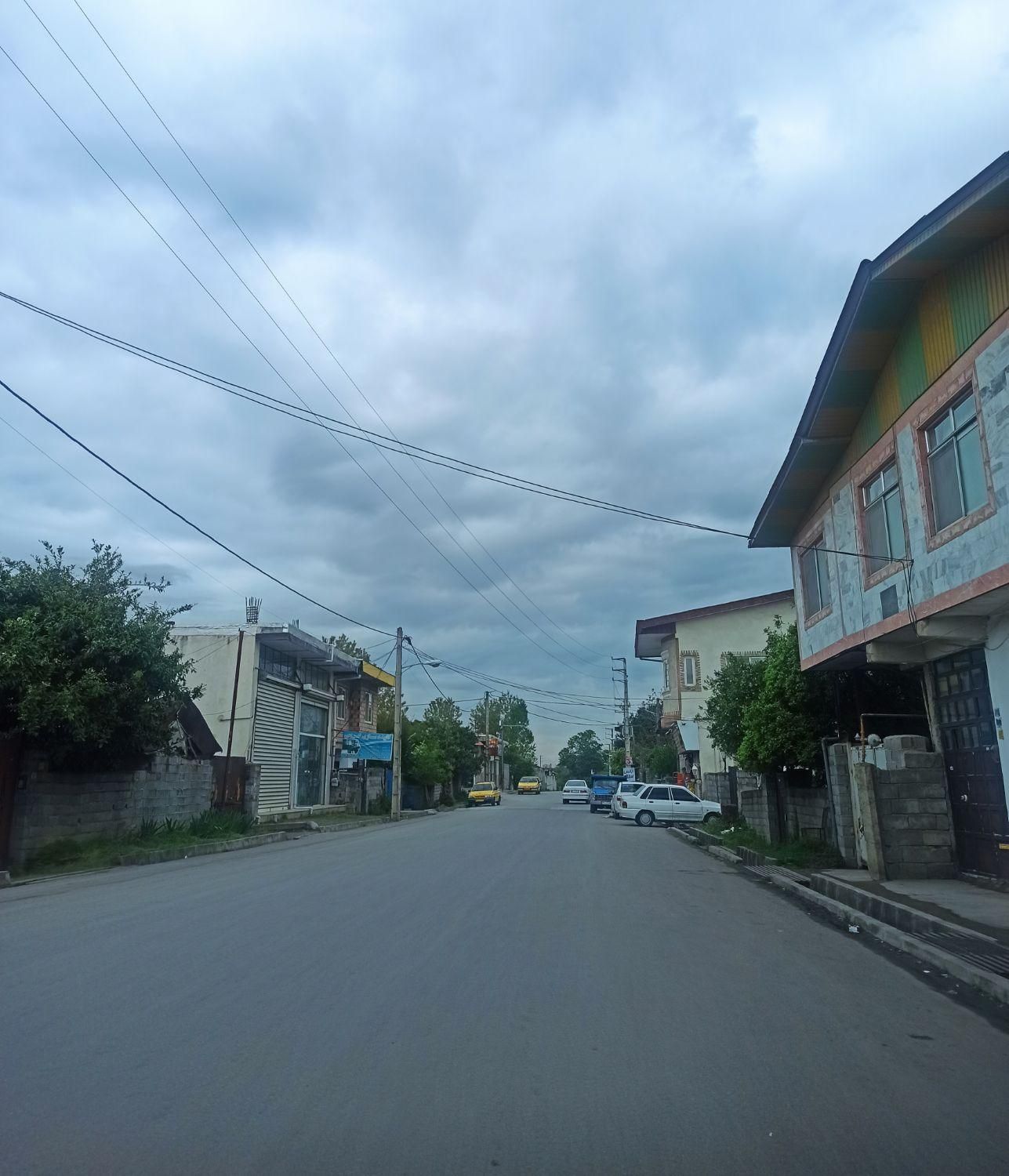 مشاور ناظمی