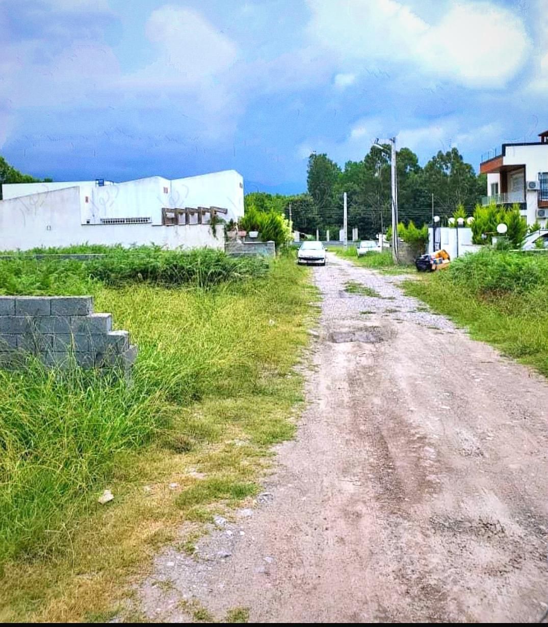 مشاور ناظمی