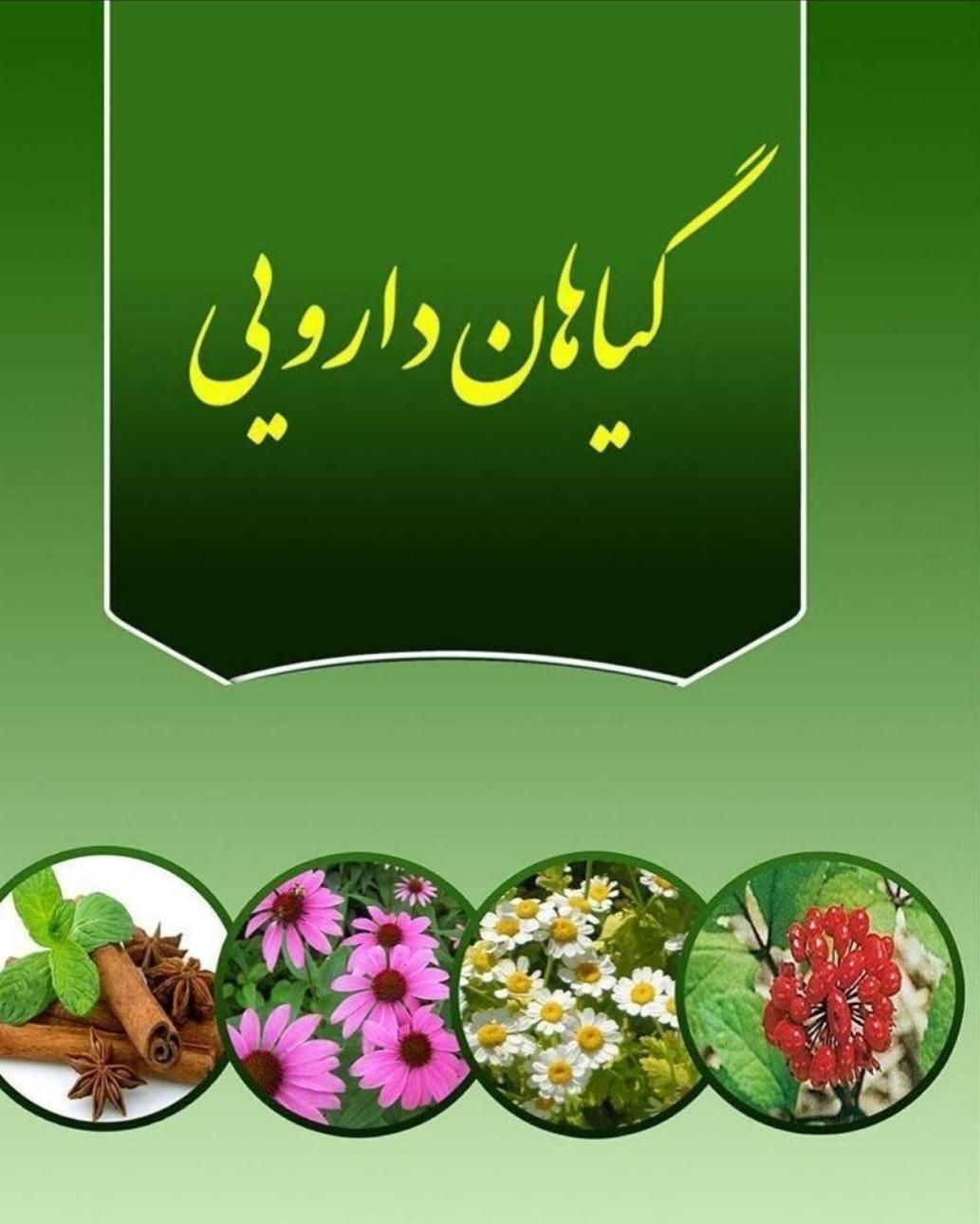 کار در منزل برای خانم های خانه دار