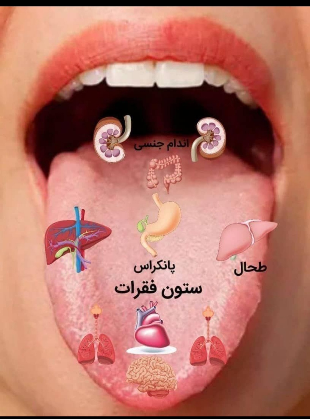 کار در منزل ویژه بانوان