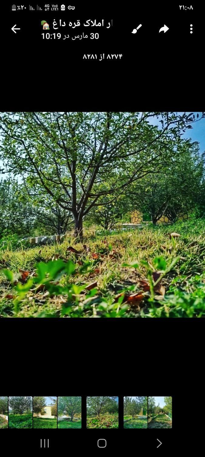 مشاور املاک پوریا عین اللهی
