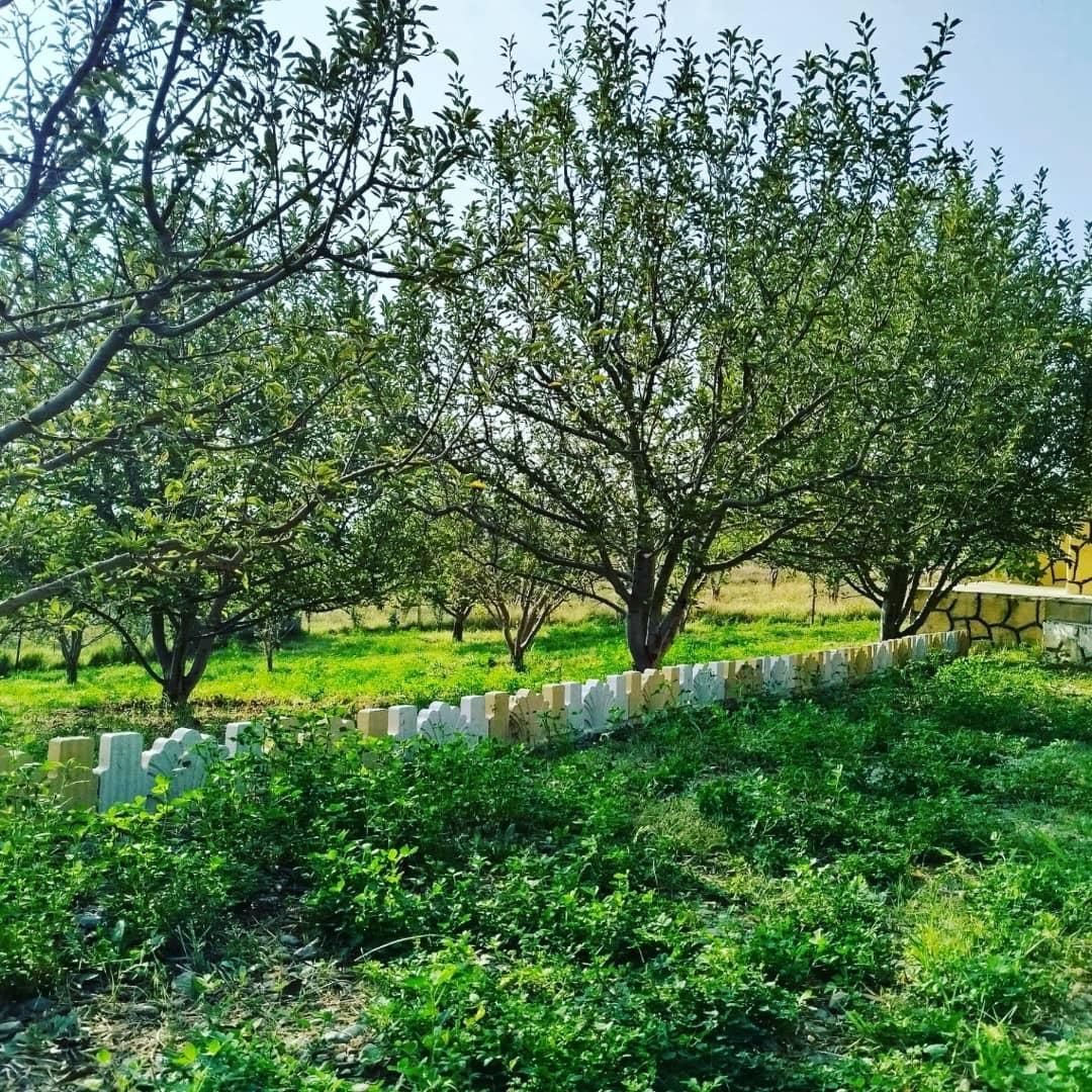 مشاور املاک پوریا عین اللهی