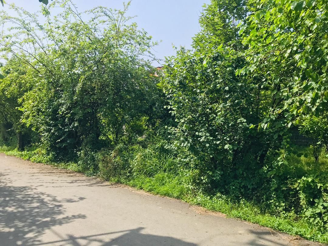 املاک آپدیت رامسر