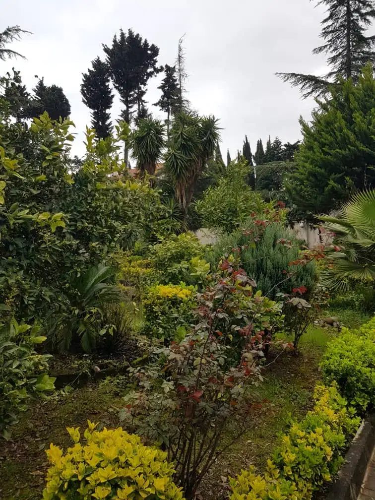 املاک آپدیت رامسر