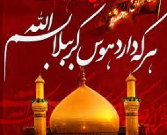 تور کربلای معلی ویژه تولد حضرت رضا ع هوایی و زمینی
