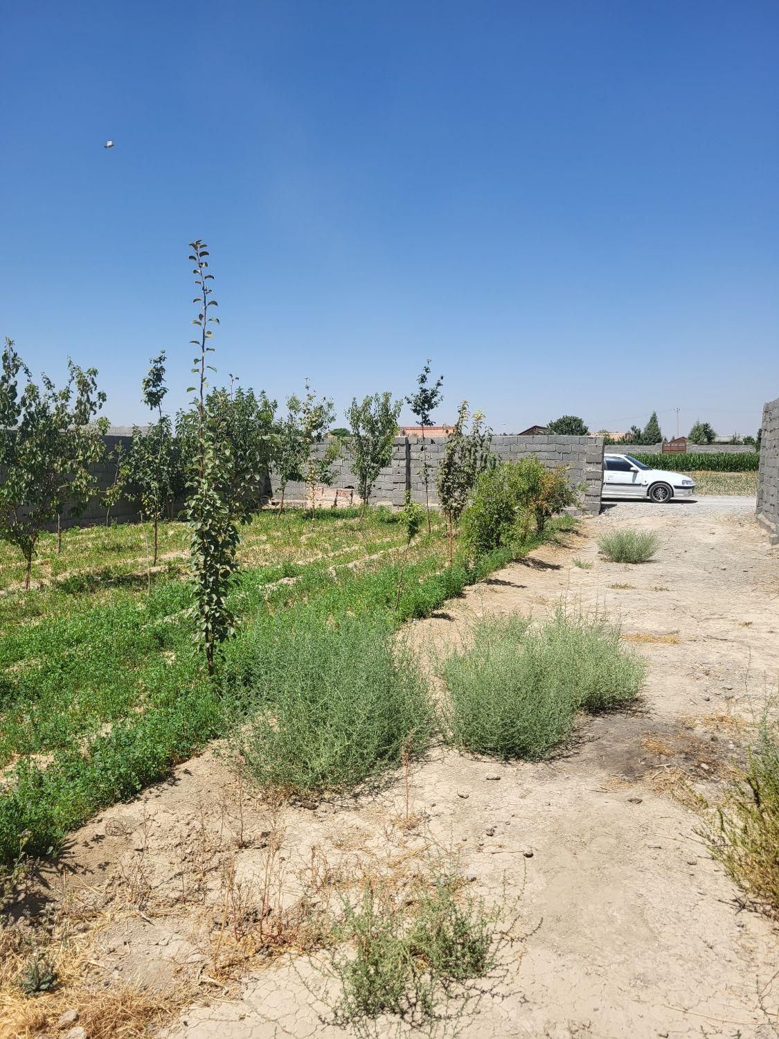 چهاردیواری دربهترین لوکیشن مناسب سرمایه گذاری