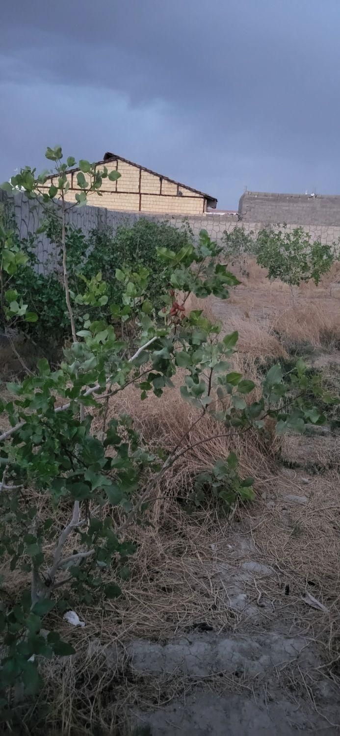 فروش چهاردیواری 300متری باتبرئه فقط 300تومان