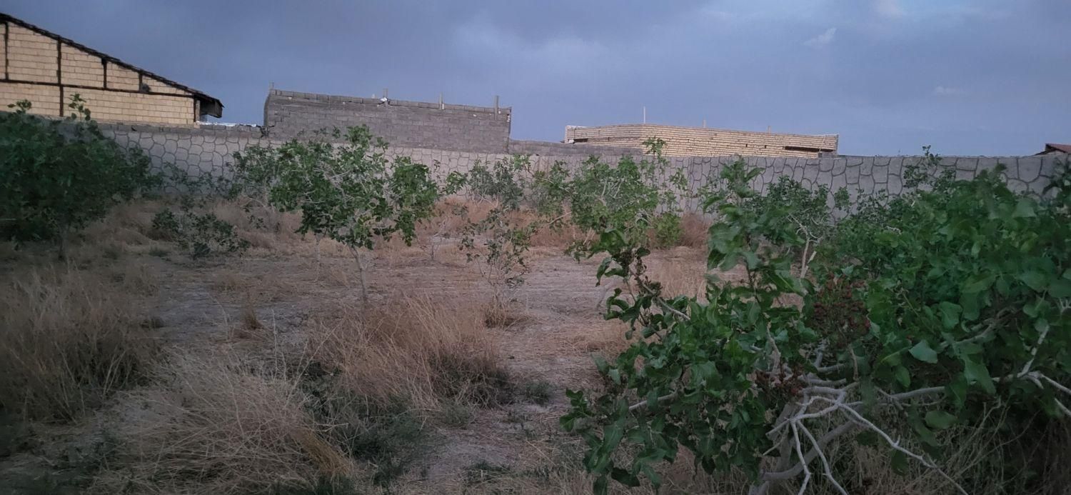 فروش چهاردیواری 450متری باتبرئه ازجهادکشاورزی