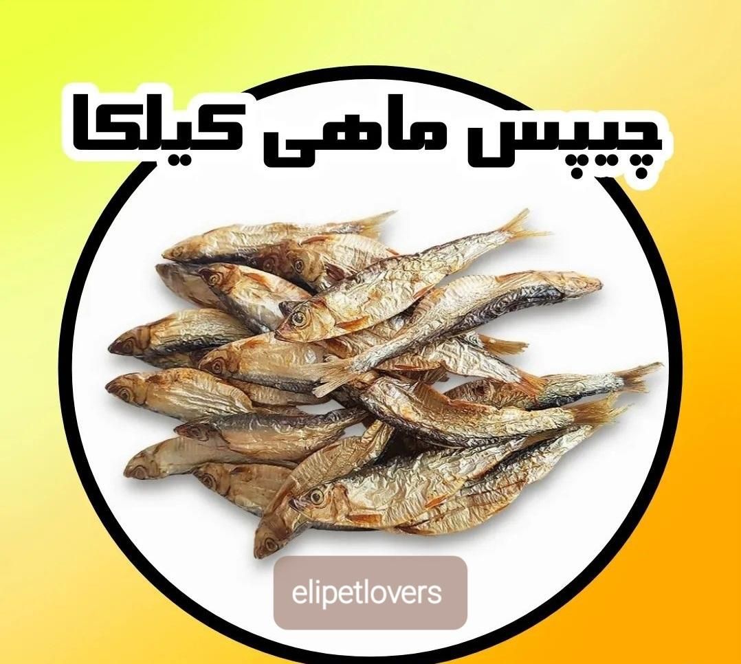 غذا،تشویقی سگ و گربه کاملا ارگانیک