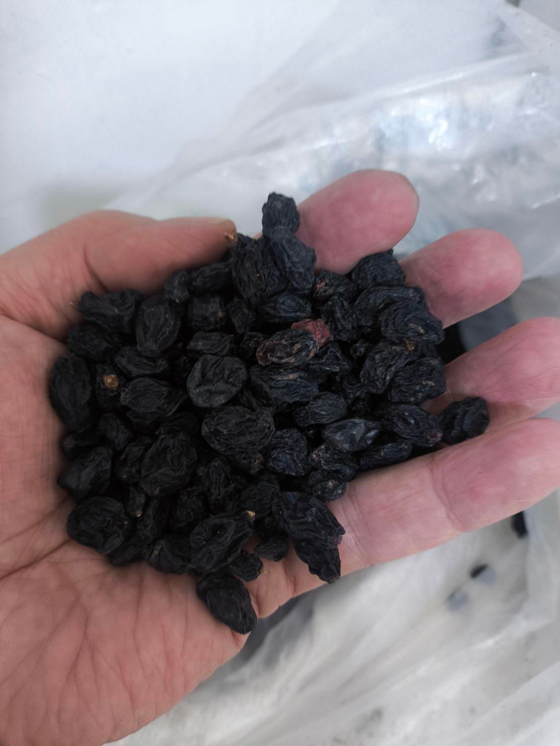 مویز سیاه درجه یک بیدانه