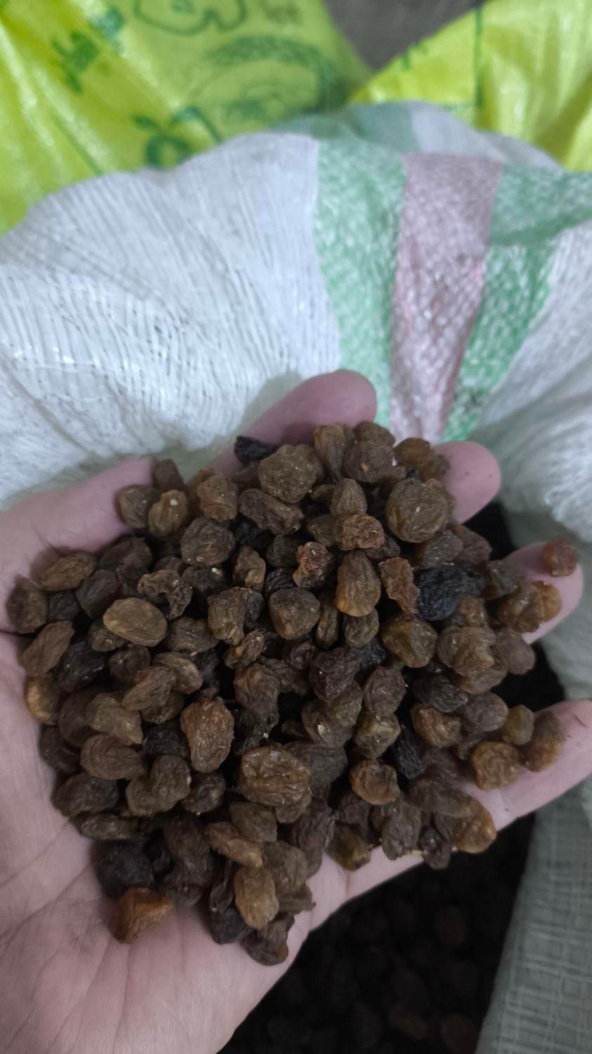 کشمش پلویی