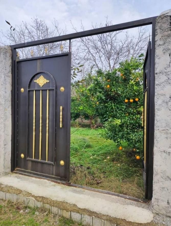 مشاور برتر صادقی