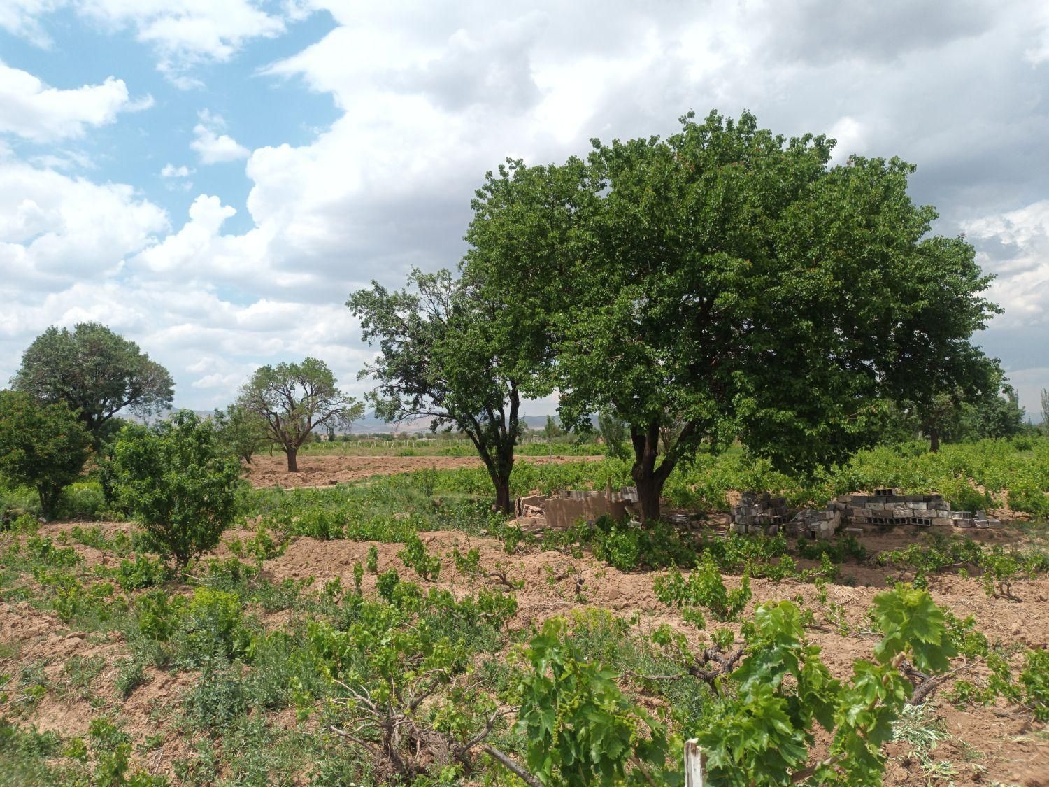 زمین وویلا