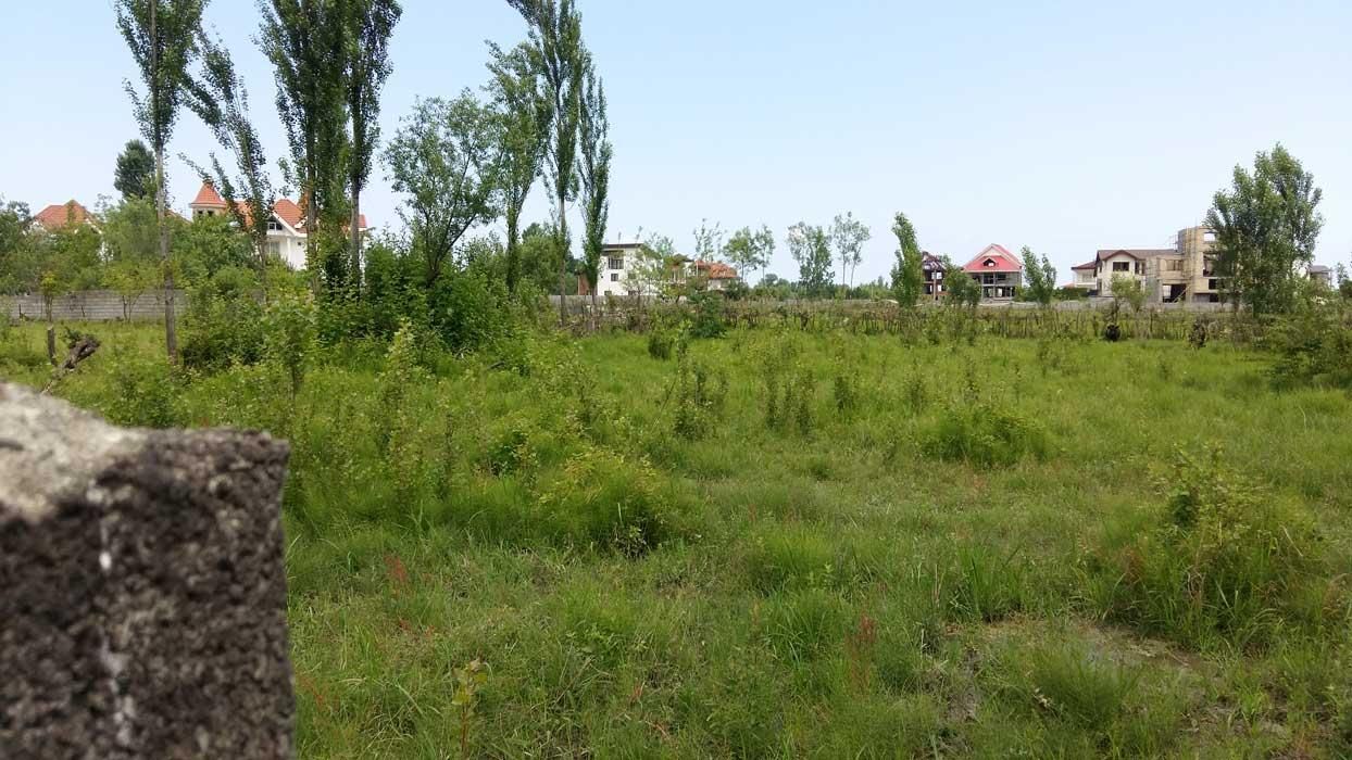 املاک بزرگ موسوی