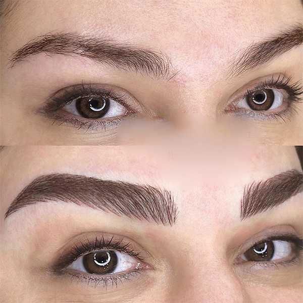 خدمات اقتصادی فیبروز ابروباهدیه بن مژه