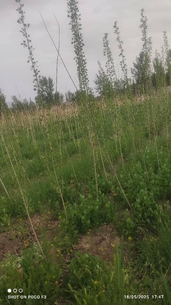 فروش باغ ویلایی ۱۰۰۰متر روستای بولاماج