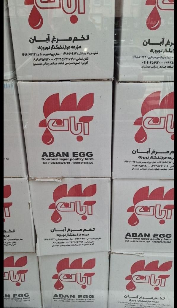 تخم مرغ آبان عمده