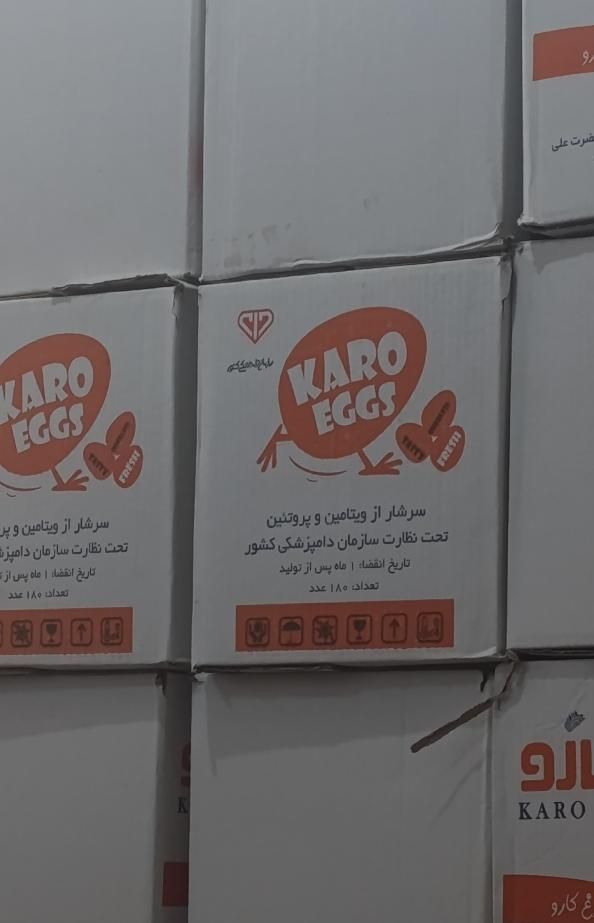 پخش تخم مرغ عمده