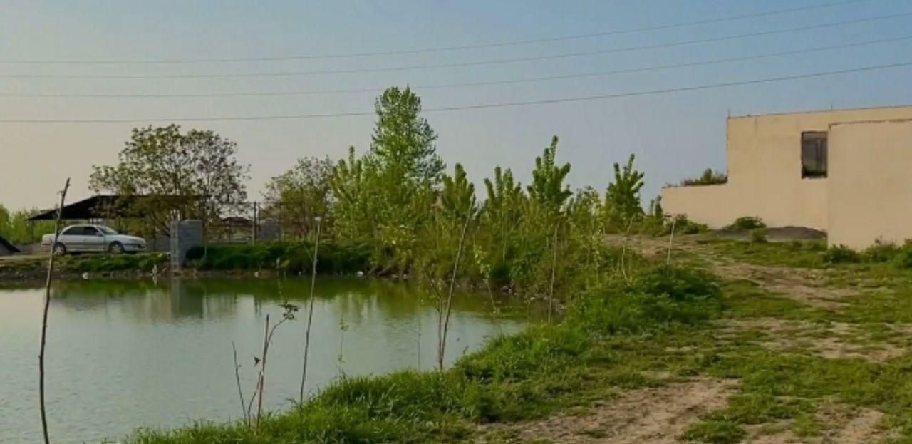 زمین ساخت/کناردریاچه و جنگل