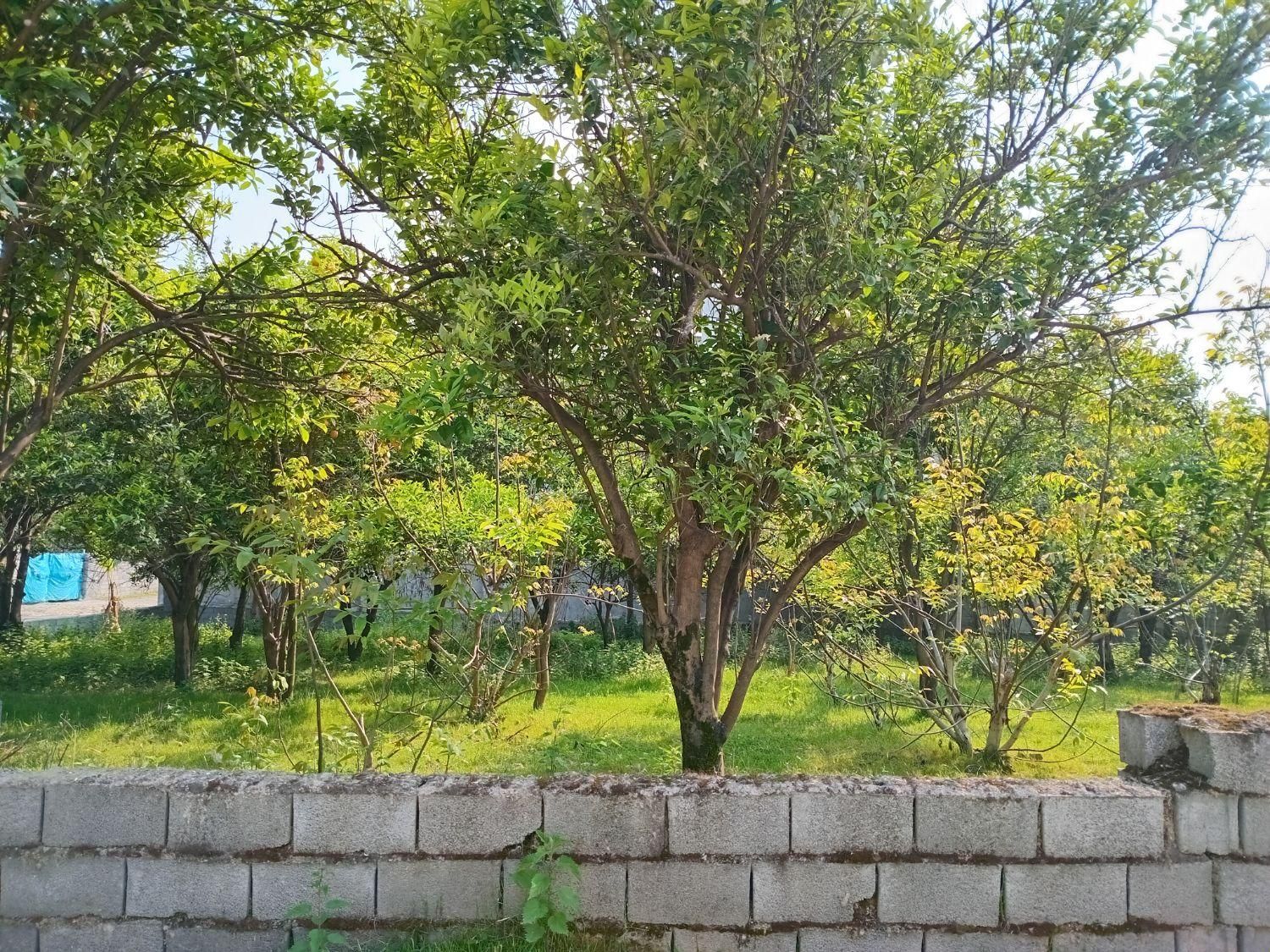 فرصت استثنایی وفوری رو از دست نده