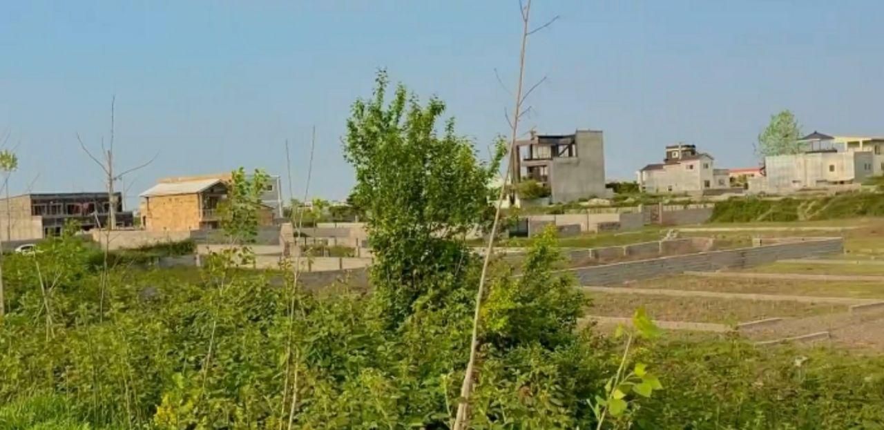 زمین کنار دریاچه و جنگل در منطقه جنگلی