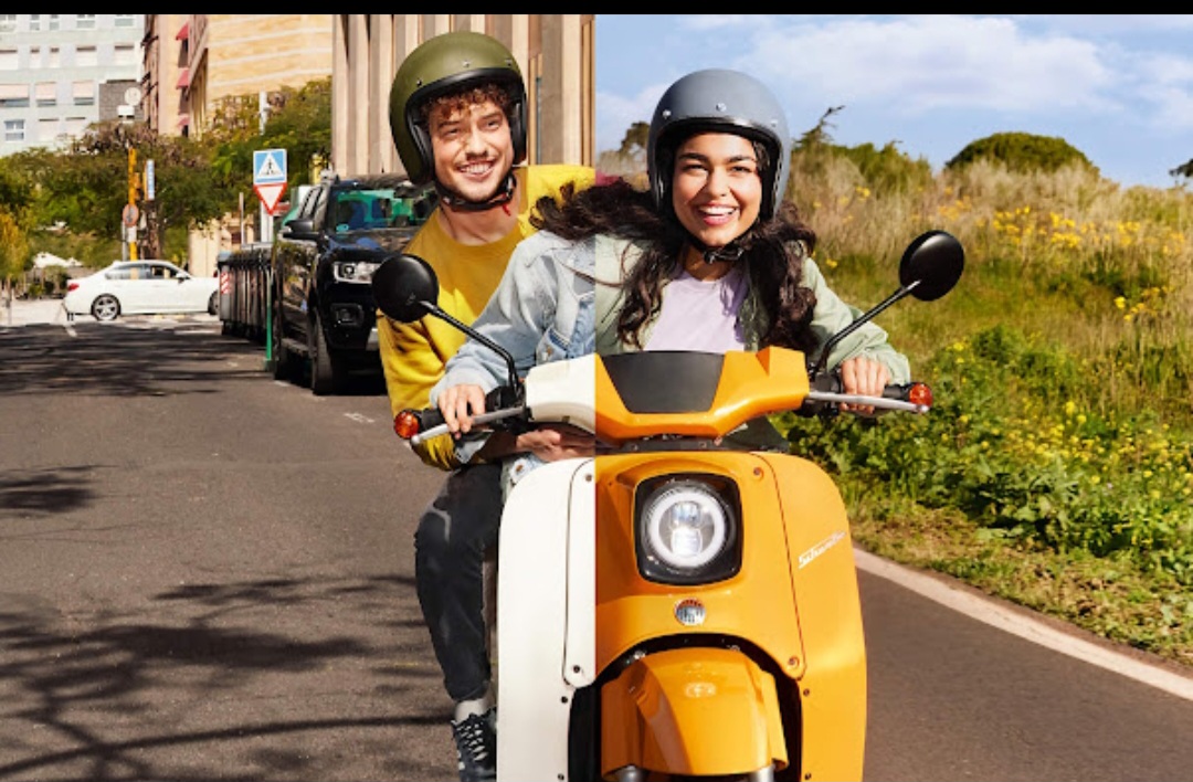 املاک فروش زمین