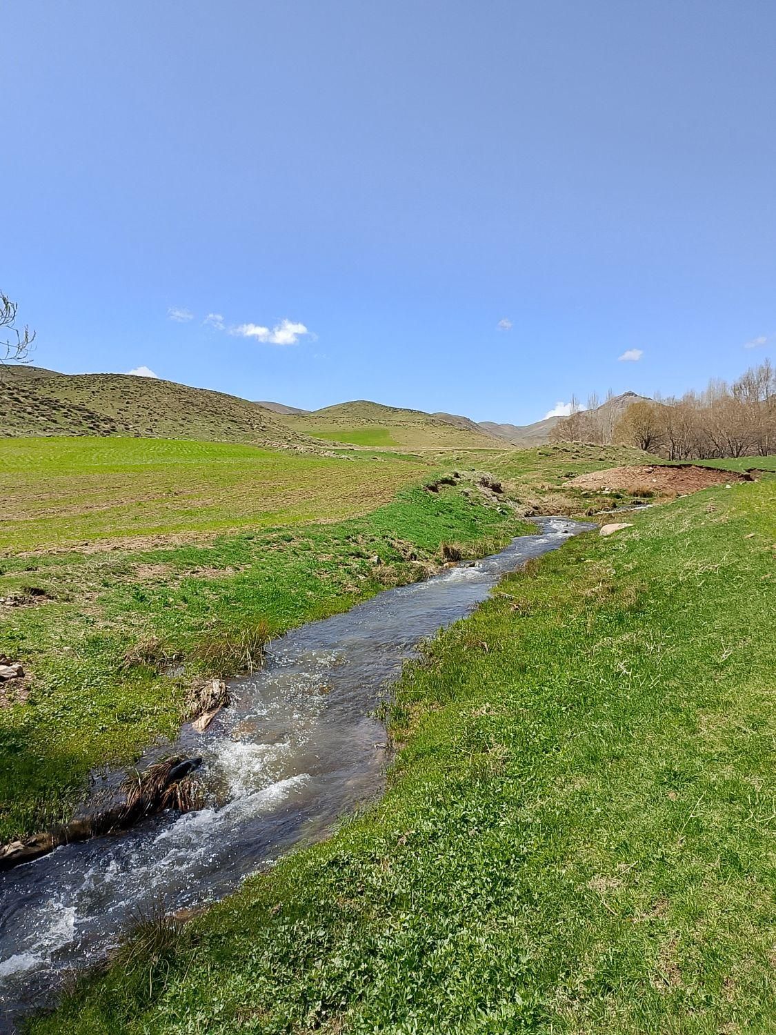 با یک میلیارد چه کاری کنیم