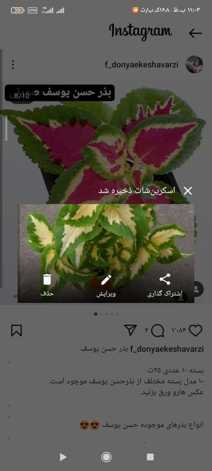 حسن یوسف