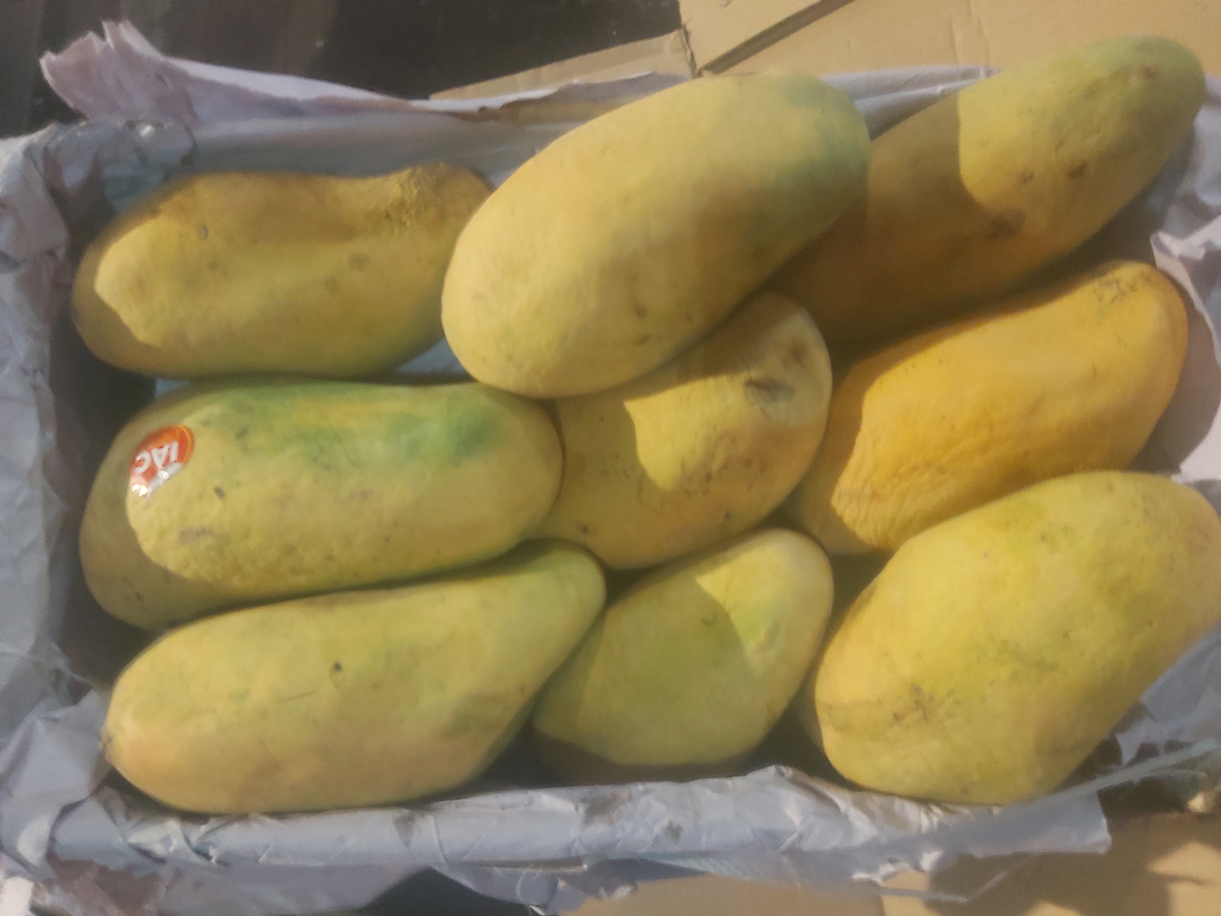 انبه درجه 1