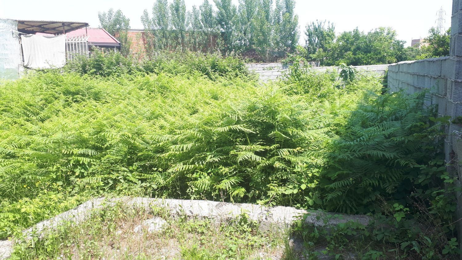 مشاور املاک ارکیده