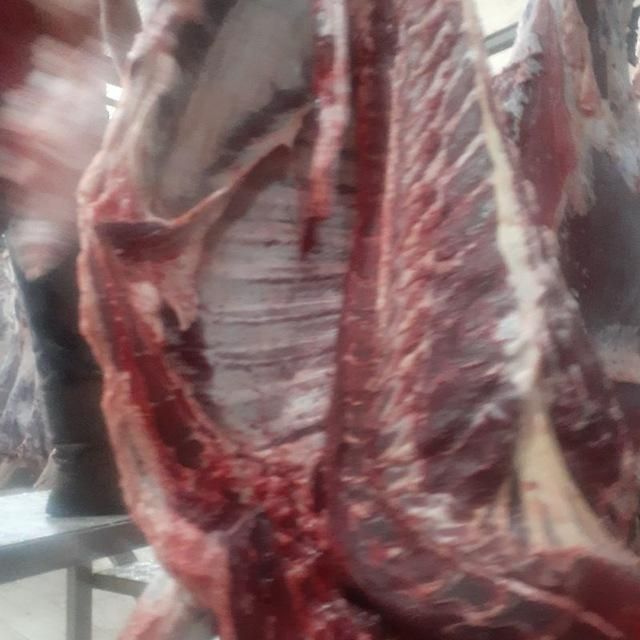 چرخکرده پخش گوشت نخودی کوبیده