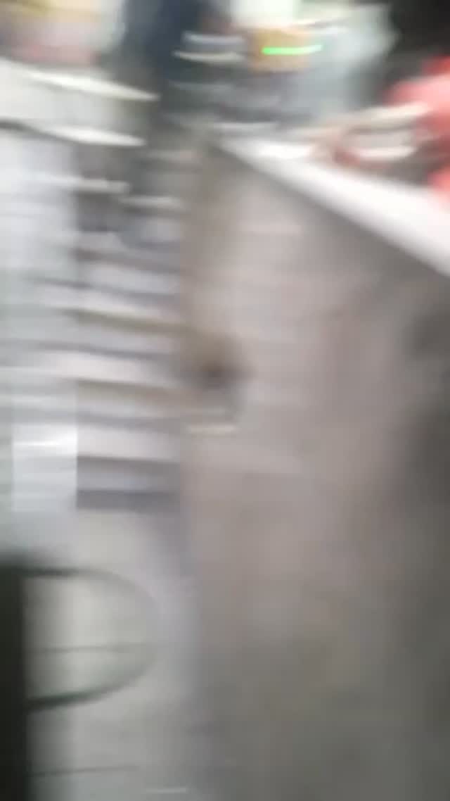 نمونه کار