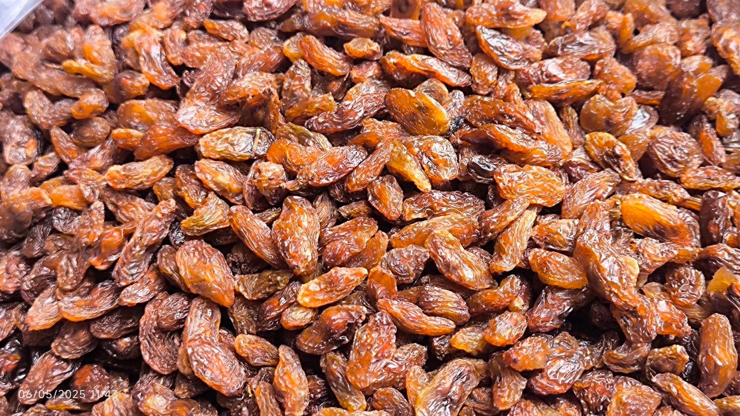 مویز ارگانیک شسته 5 کیلویی