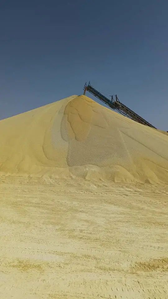 انواع خط نوار نقاله