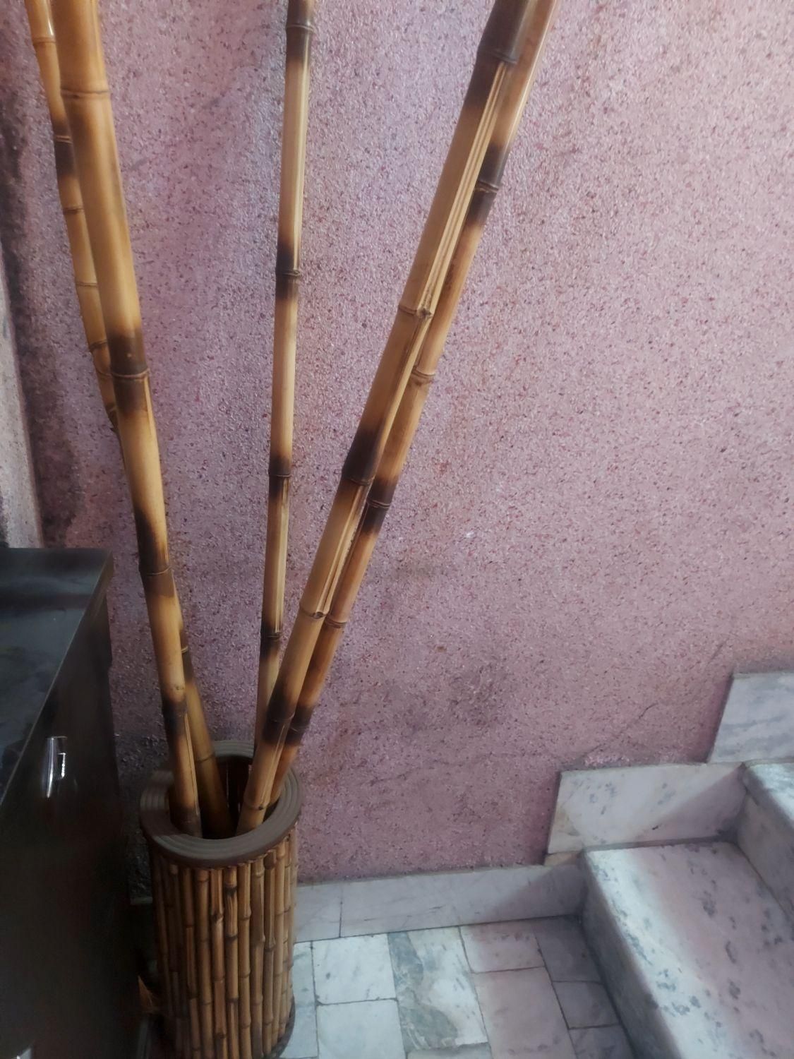 گلدان و چوب بامبو