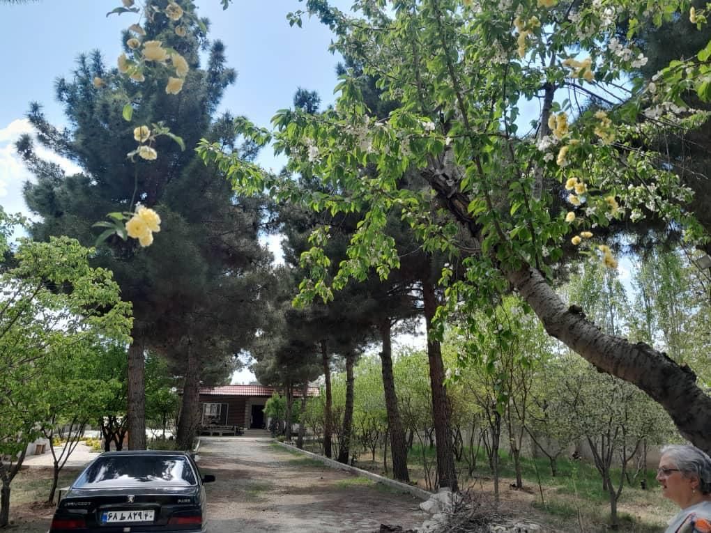 فروش زمین۷۰۰ متری کردان کوهسار