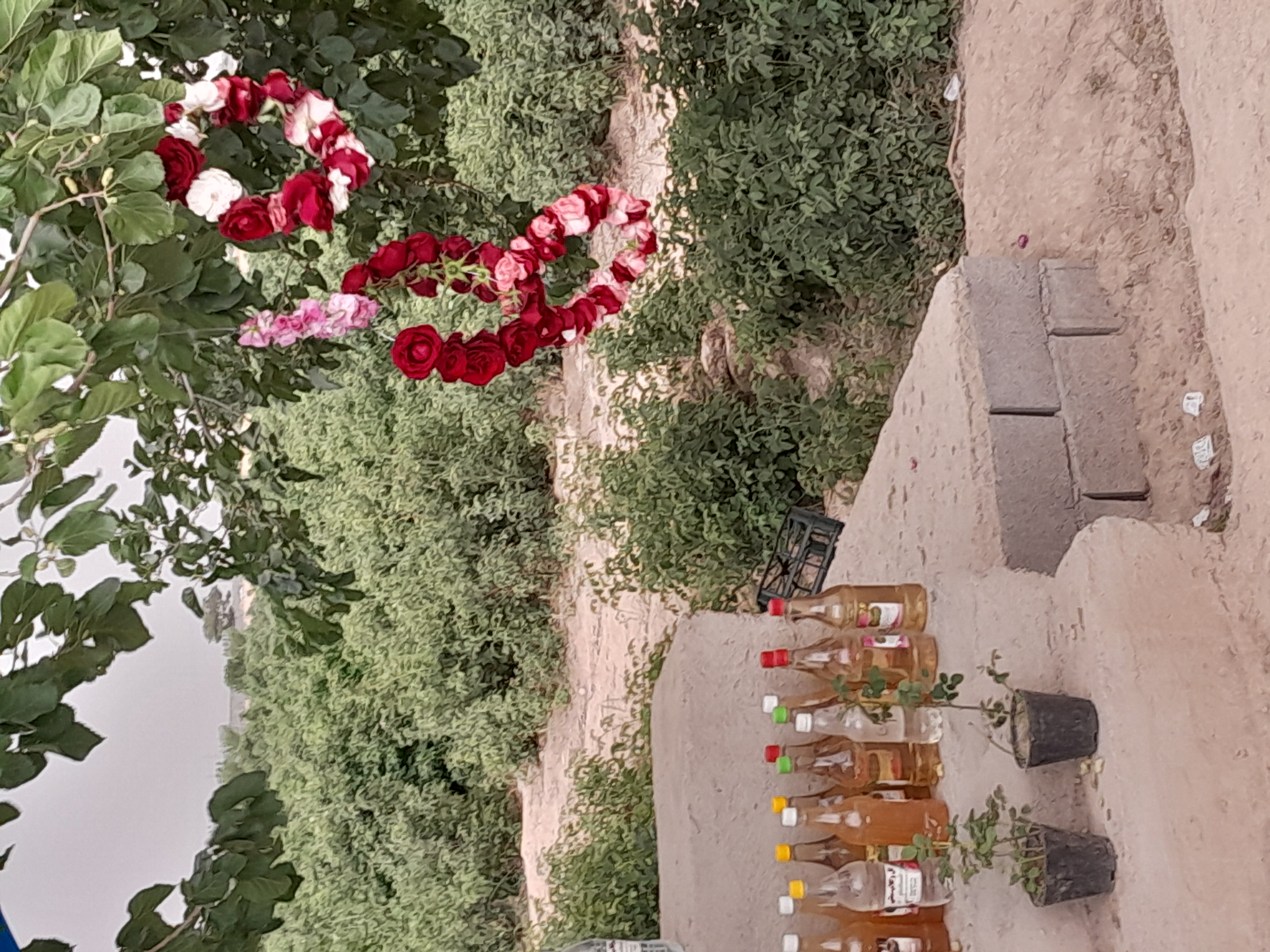 گلاب درجه یک