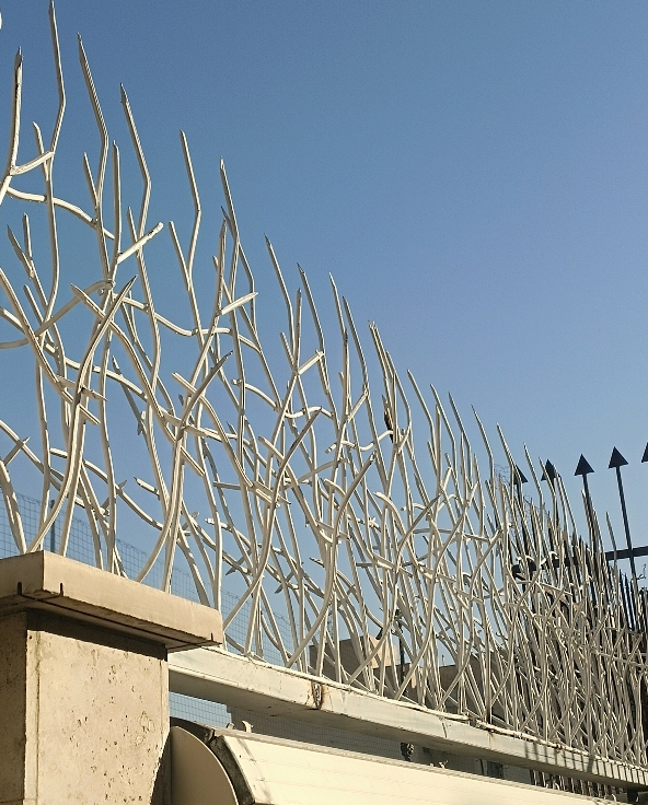 حفاظ بوته ای