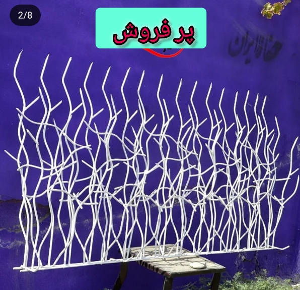 حفاظ شاخ گوزنی