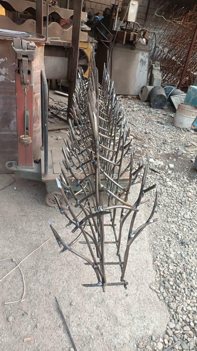 حفاظ شاخ گوزنی