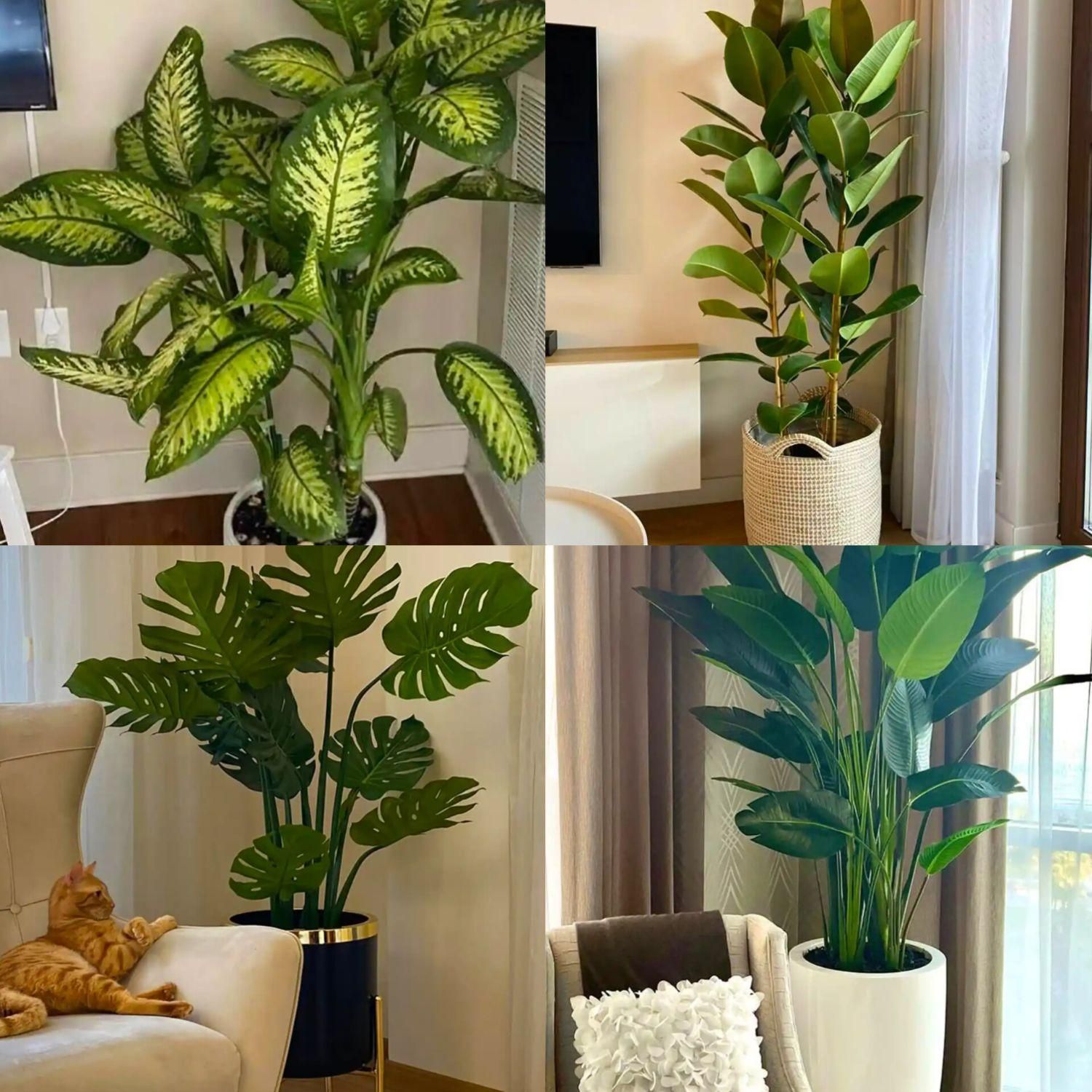 خدمات باغبانی و هرسکاری بیل زدن تعویض خاک سمپاشی