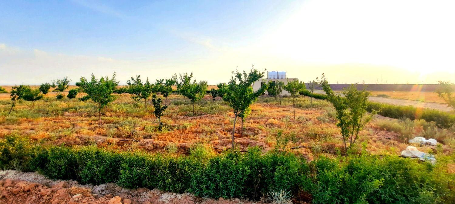 املاک خراسانی