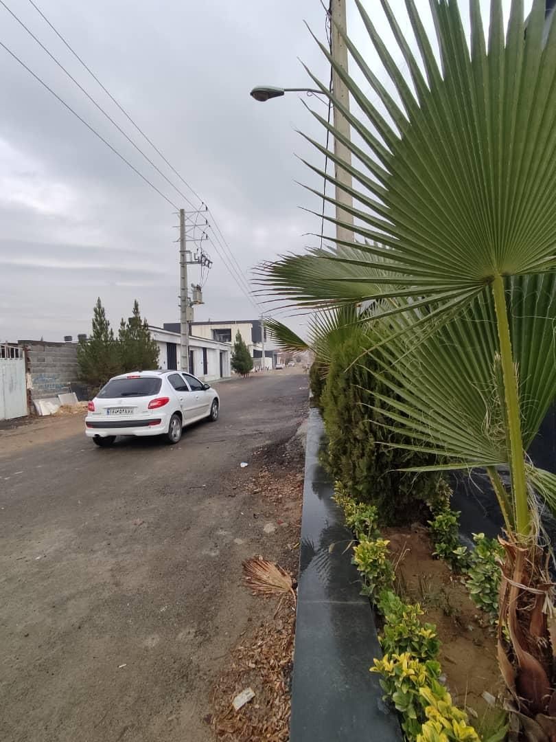 مشاور ملکی بهزاد محمدی